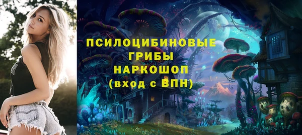 винт Алексеевка