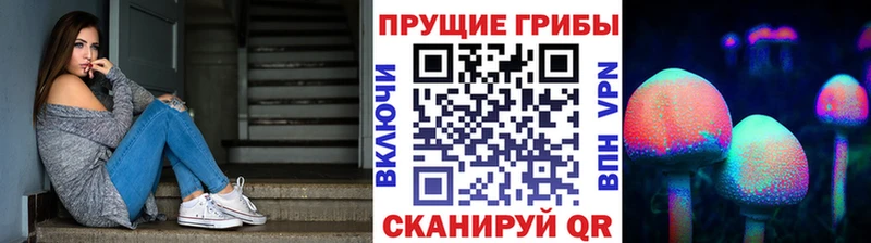 Псилоцибиновые грибы Cubensis  Конаково 
